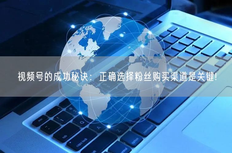 视频号的成功秘诀:正确选择粉丝购买渠道是关键!