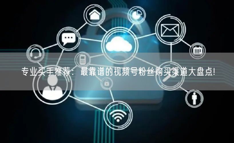 专业买手推荐:最靠谱的视频号粉丝购买渠道大盘点!