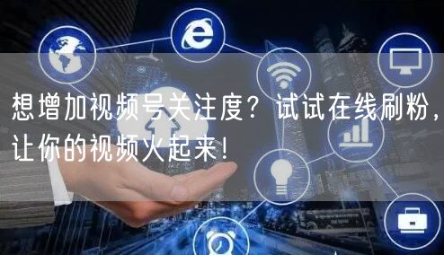 想增加视频号关注度?试试在线刷粉,让你的视频火起来!