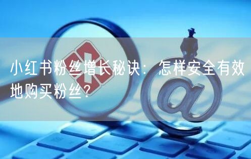 小红书粉丝增长秘诀:怎样安全有效地购买粉丝?