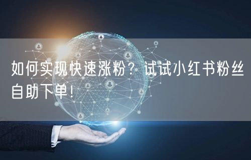 如何实现快速涨粉?试试小红书粉丝自助下单!