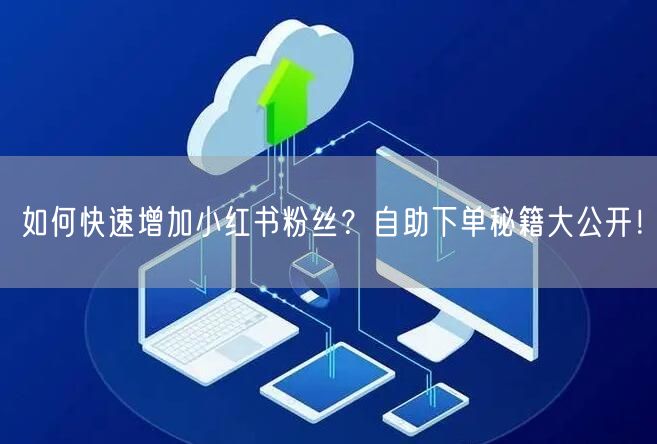如何快速增加小红书粉丝?自助下单秘籍大公开!