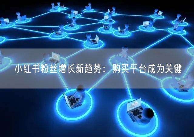 小红书粉丝增长新趋势：购买平台成为关键