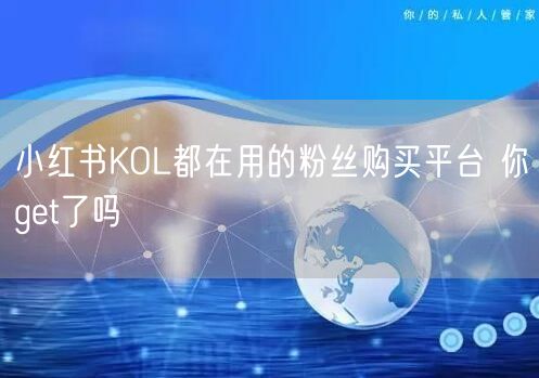 小红书KOL都在用的粉丝购买平台 你get了吗