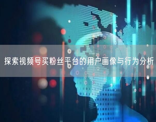 探索视频号买粉丝平台的用户画像与行为分析
