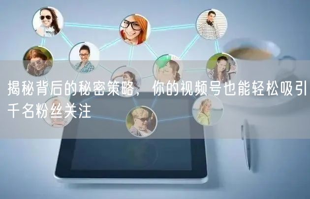 揭秘背后的秘密策略,你的视频号也能轻松吸引千名粉丝关注