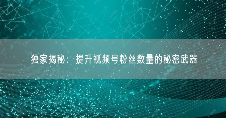 独家揭秘:提升视频号粉丝数量的秘密武器