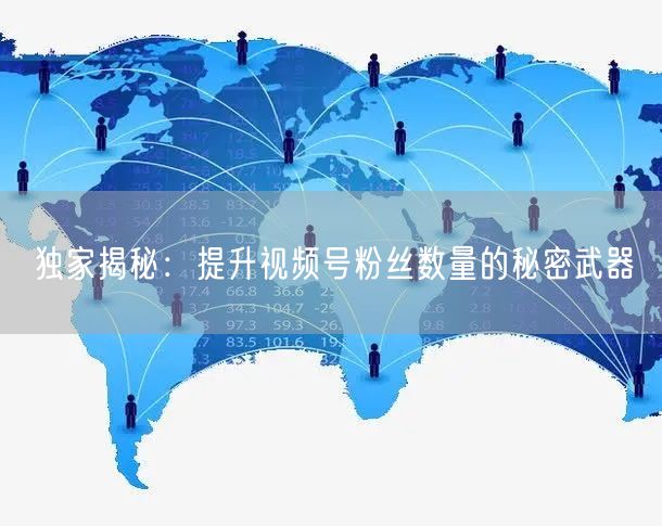 独家揭秘:提升视频号粉丝数量的秘密武器